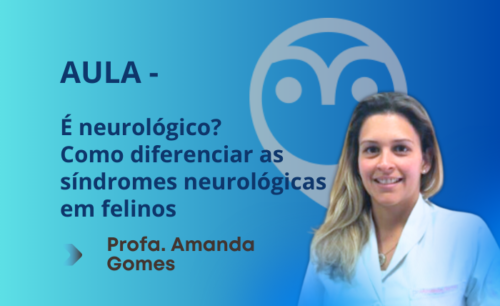 Aula – É neurológico? Como diferenciar as síndromes neurológicas em felinos – Profa. Amanda Gomes