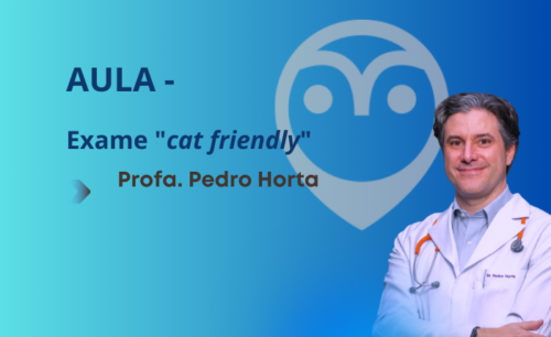 Aula – Exame “Cat Friendly” – Prof. Pedro Horta