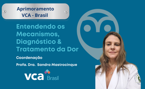 2 – APRIMORAMENTO Pet Care/Vetsapiens – Curso Veterinário para Alívio de Dor: Entendendo os mecanismos, diagnóstico e tratamento da dor