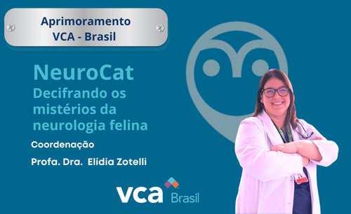 14 – APRIMORAMENTO Pet Care/Vetsapiens – NeuroCat: Decifrando os mistérios da neurologia felina