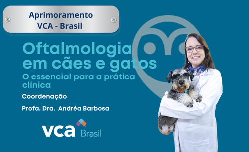 12 – APRIMORAMENTO Pet Care/Vetsapiens – Curso de Oftalmologia Veterinária – O essencial para o clínico de pequenos animais