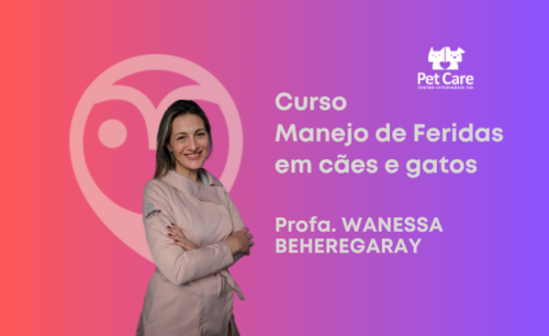 Manejo de feridas em cães e gatos – o que há de novo!