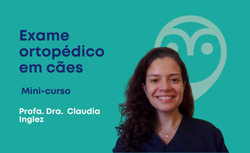 Exame ortopédico em cães