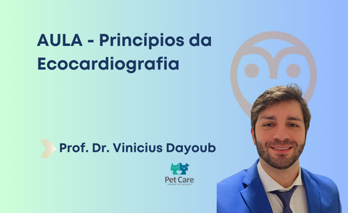 Aula – Princípios da ecocardiografia