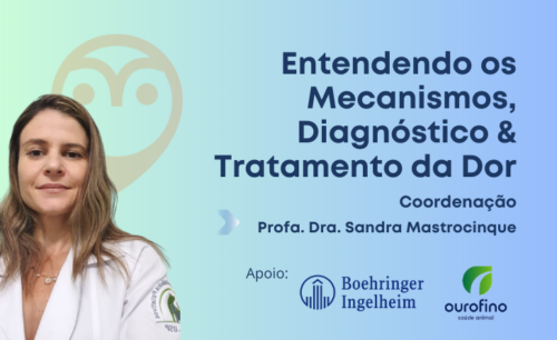 Curso Veterinário: Entendendo os mecanismos, diagnóstico e tratamento da dor