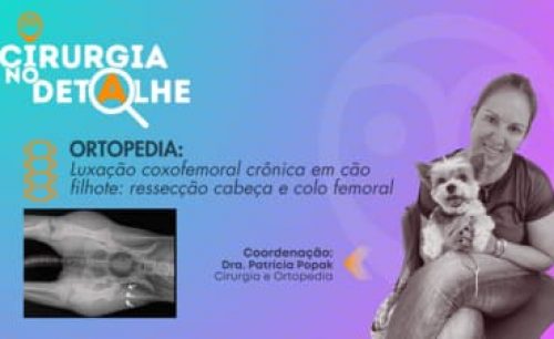 Luxação coxofemoral crônica em cão filhote por ressecção cabeça e colo femorais
