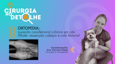 Vídeo Educacional: Luxação coxofemoral crônica em cão filhote por ressecção cabeça e colo femorais