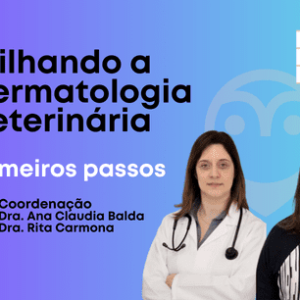 Bundle 2 [não disponivel para inscriçoes]