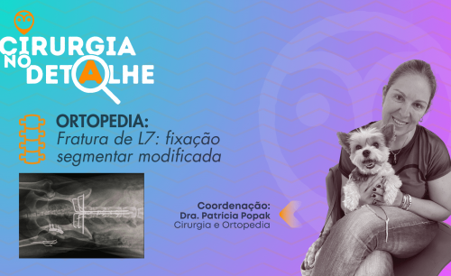 Fratura de L7 com fixação segmentar modificada em cão