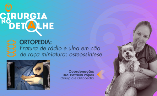 Fratura de rádio e ulna em cão de raça miniatura – Osteossíntese com placa