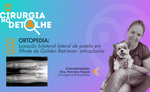 Luxação bilateral lateral de patela em filhote de Golden Retriever