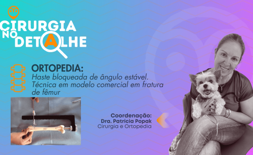 Técnica de Haste bloqueada de ângulo estável em fêmur