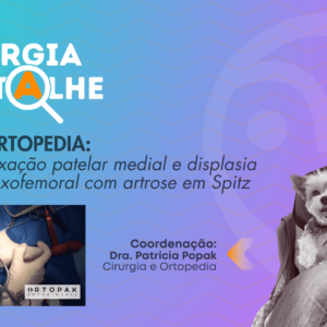 Vídeo educacional: Luxação patelar medial e displasia coxofemoral com artrose em Spitz