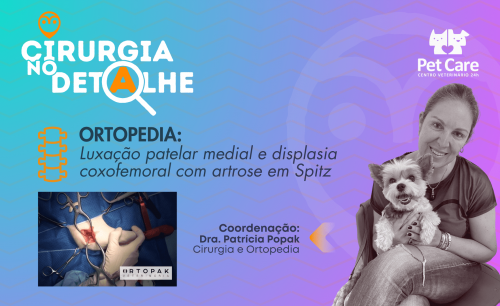 Luxação patelar medial e displasia coxofemoral com artrose em Spitz