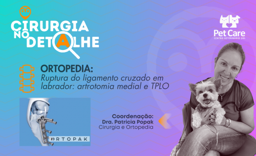 Ruptura de ligamento cruzado em Labrador: artrotomia medial e TPLO