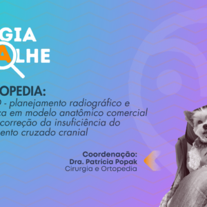 CBLO - Planejamento radiográfico e técnica em modelo anatômico comercial de cão para tratamento da insuficiência do ligamento cruzado cranial