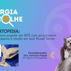 Desvio angular em MTE com procurvatum excessivo e torção em Jack Russel Terrier