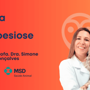 Aula - Babesiose