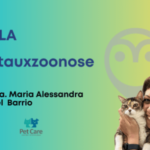 AULA - Cytauxzoonose