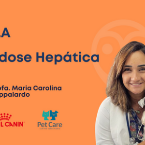 Aula - Lipidose hepática