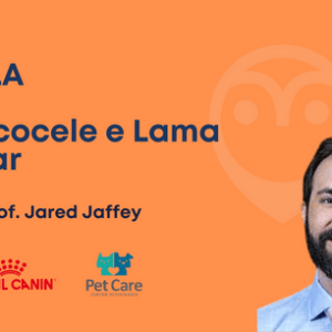 Aula - Mucocele biliar e lama biliar: qual o melhor tratamento?