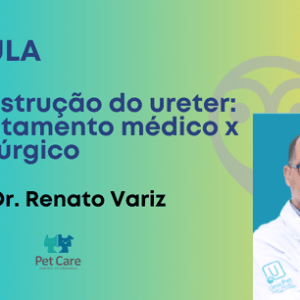AULA - Obstrução do ureter: tratamento médico versus cirúrgico