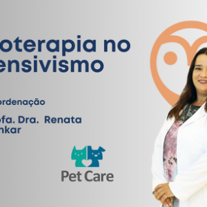 Fisioterapia no intensivismo