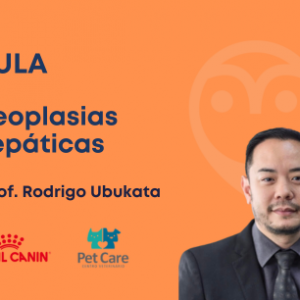AULA - Neoplasias hepáticas