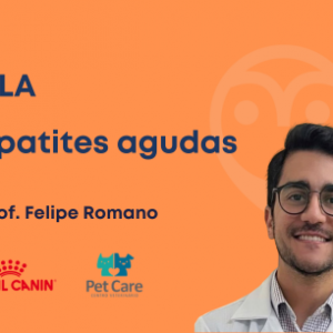 AULA - Hepatites agudas