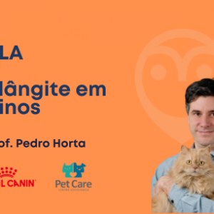 AULA - Colangite em felinos - o que há de novo?