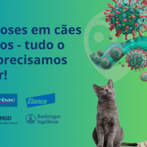 Zoonoses em Cães e Gatos: tudo o que precisamos saber