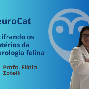 NeuroCat: Decifrando os mistérios da neurologia felina