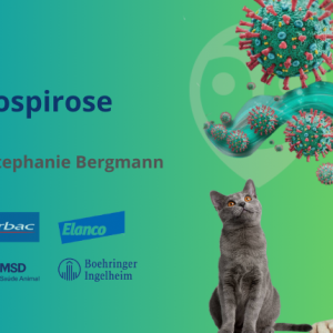 Aula - Leptospirose | Zoonoses - Profa. Stephanie Bergmann Esteves