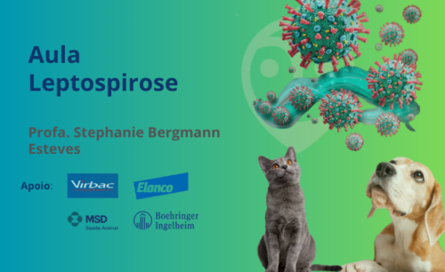 Aula – Leptospirose