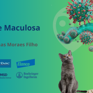 Aula - Febre maculosa - Parte 3 | Zoonoses -  Prof. Jonas Moraes Filho