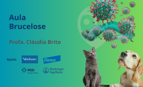 Aula – Brucelose