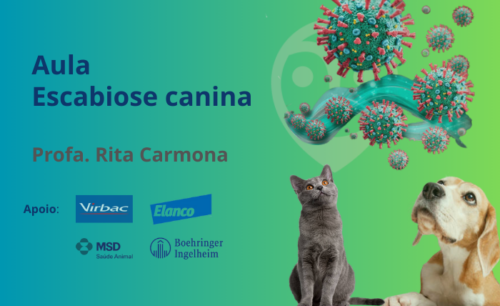 Aula – Escabiose canina