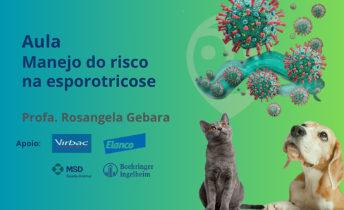 Aula – Esporotricose Felina: Manejo do Risco no Atendimento