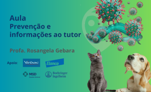 Aula – Esporotricose Felina: Prevenção e Informações ao Tutor