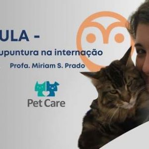 Aula- Acupuntura na internação | Fisioterapia no intensivismo