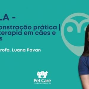 Aula - Demonstração prática | Fisioterapia em cães e gatos