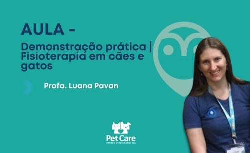 Aula – Demonstração prática | Fisioterapia em cães e gatos