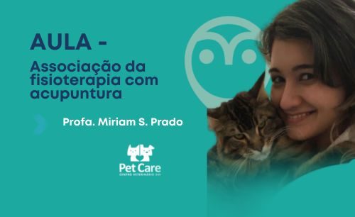 Aula – Associação da fisioterapia com acupuntura