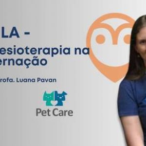 Aula - Cinesioterapia na internação | Fisioterapia no intensivismo