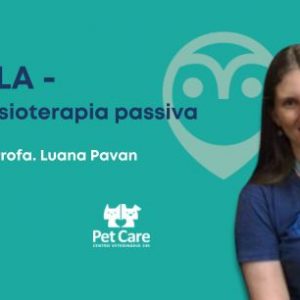 Aula - Cinesioterapia passiva | Fisioterapia em cães e gatos: o essencial para a prática clínica
