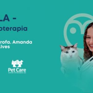 Aula - Eletroterapia | Fisioterapia em cães e gatos: o essencial para a prática clínica