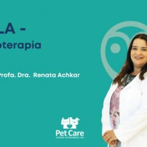 Aula - Hidroterapia | Fisioterapia em cães e gatos