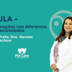 Aula - Indicações nas diferentes especialidades | Fisioterapia em cães e gatos
