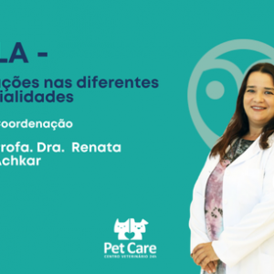 Aula - Indicações nas diferentes especialidades | Fisioterapia em Cães e Gatos