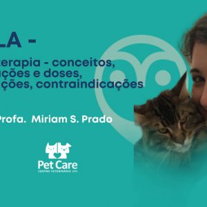 Aula - Laserterapia - conceitos, aplicações e doses, indicações, contraindicações | Fisioterapia em Cães e Gatos